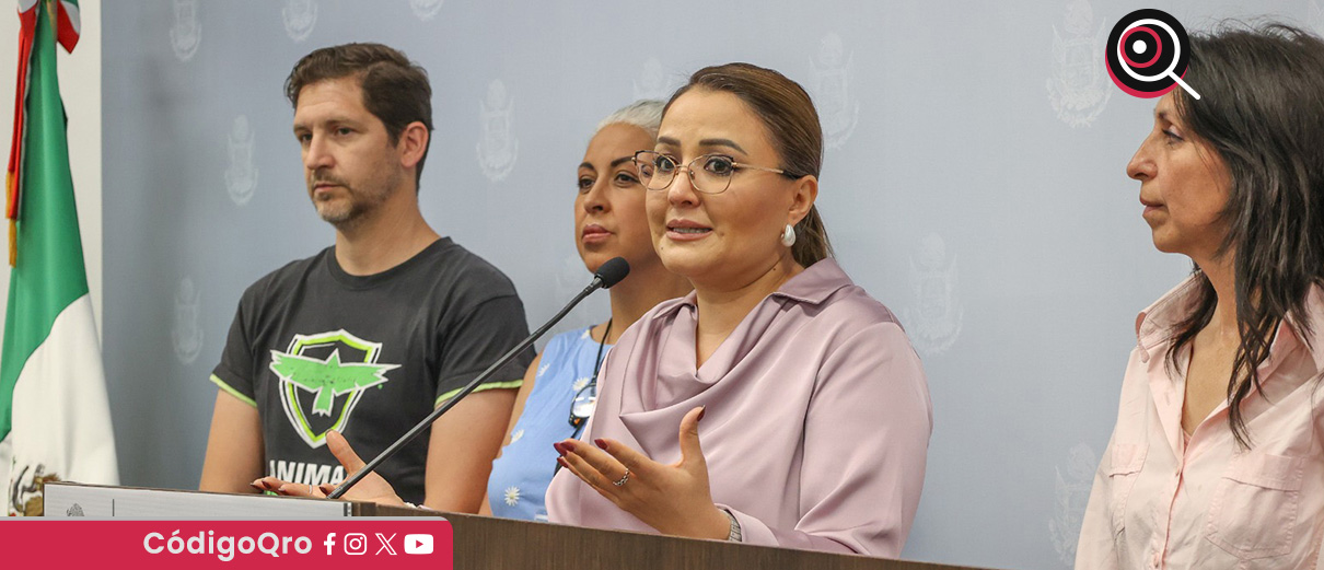 Activistas denuncian daños provocados por la pirotecnia