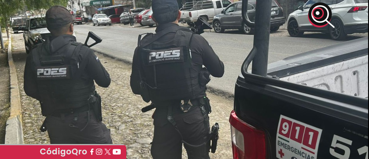 autoridades, refuerzan, operativos, Zona Metropolitana,