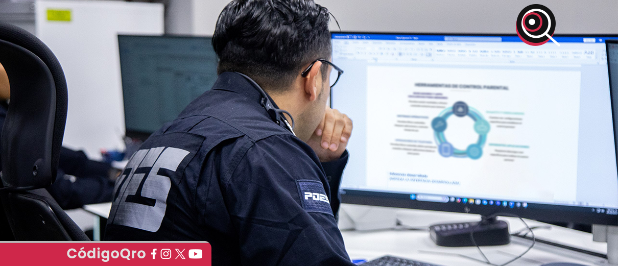 Policía Cibernética, recomendaciones, 