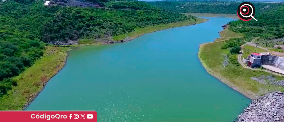 investigarán, peces, sin vida, presa El Batán,