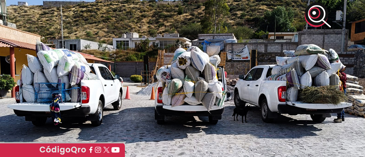 Profepa decomisa más de media tonelada de orégano en Peñamiller