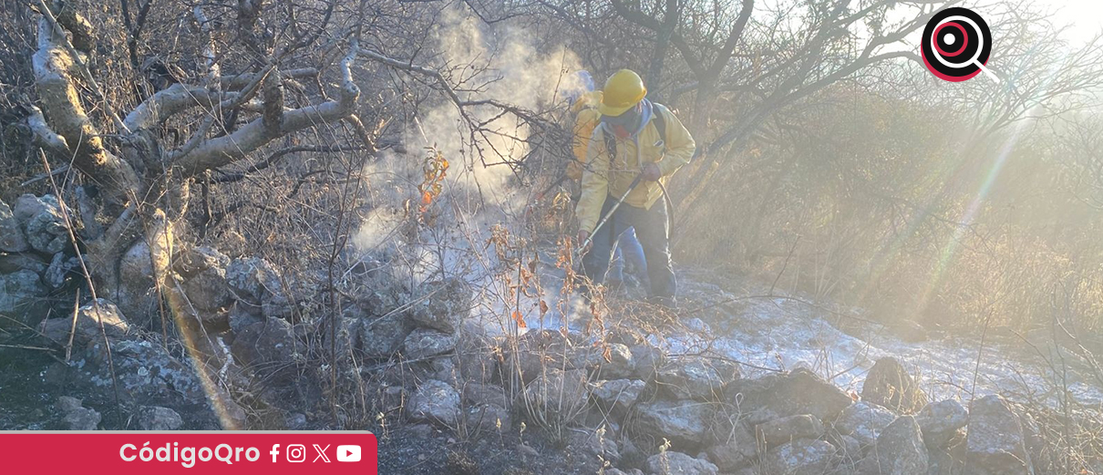 En 2025, el estado de Querétaro registró 94 incendios forestales