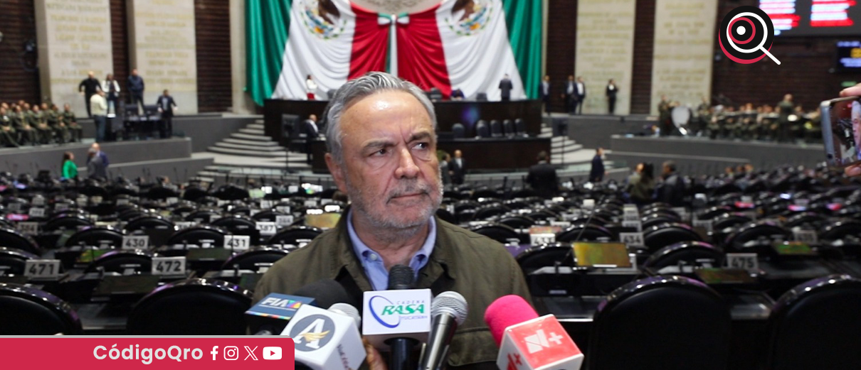 diputado, reforma electoral, fuero, política,