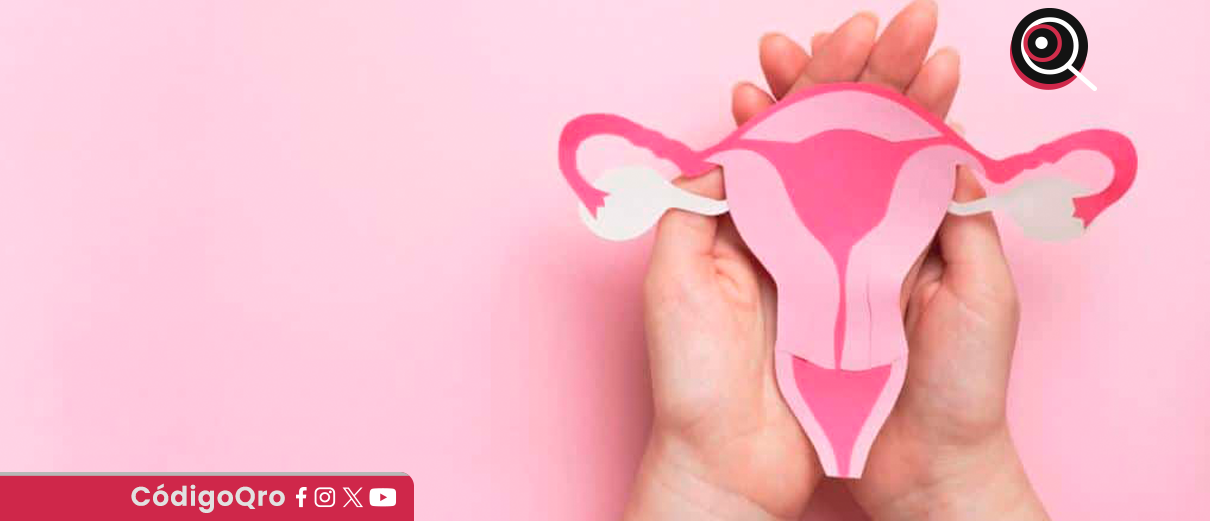 Sesa, suma, conmemoración, salud menstrual,
