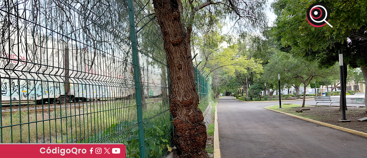 Sedesu abre consulta pública sobre declaratoria de Los Alcanfores como ANP