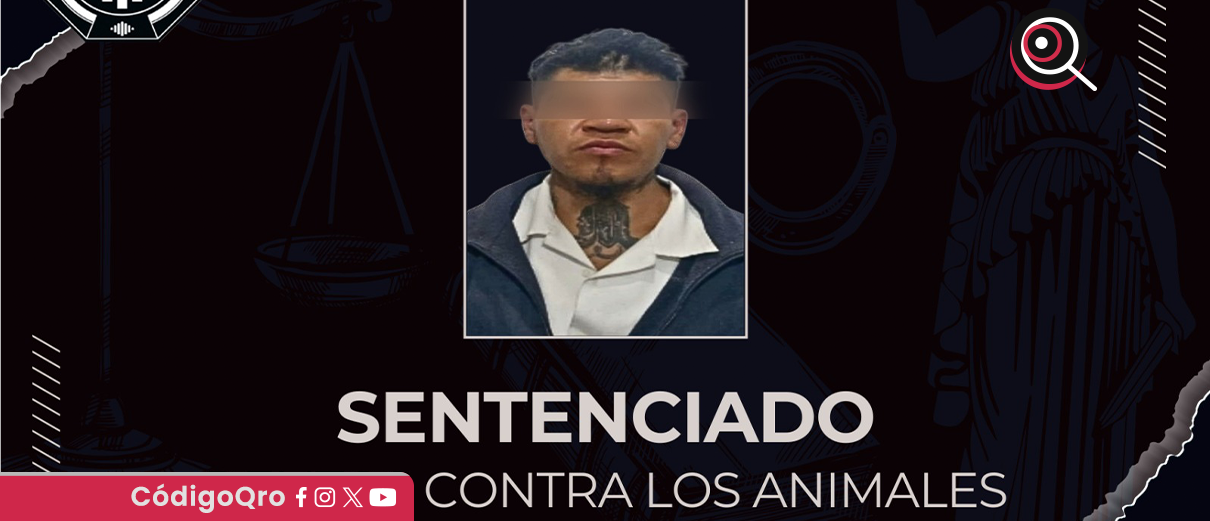 Querétaro, dos años de prisión, maltrato animal, FGE,