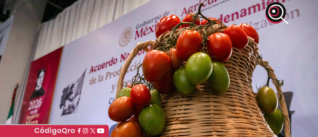 El Gobierno de México anunció un acuerdo nacional para bajar el precio del jitomate