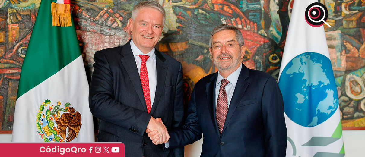 De la Fuente, OCDE, cooperación, SRE,