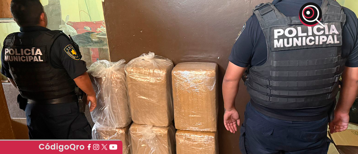 marihuana, Lomas de Casablanca