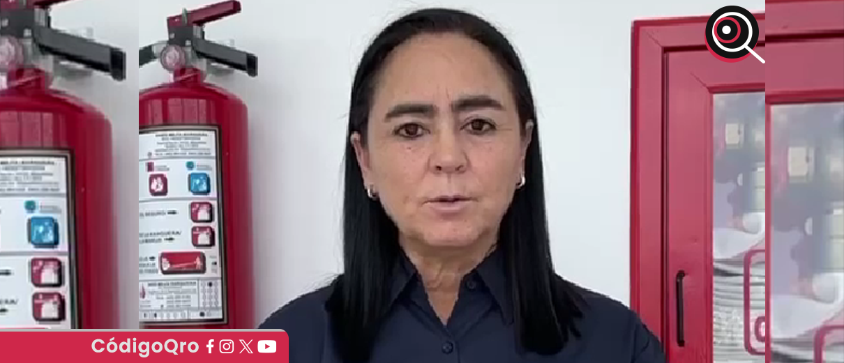 diputada, prevención, proliferación, mosquitos, calor, 