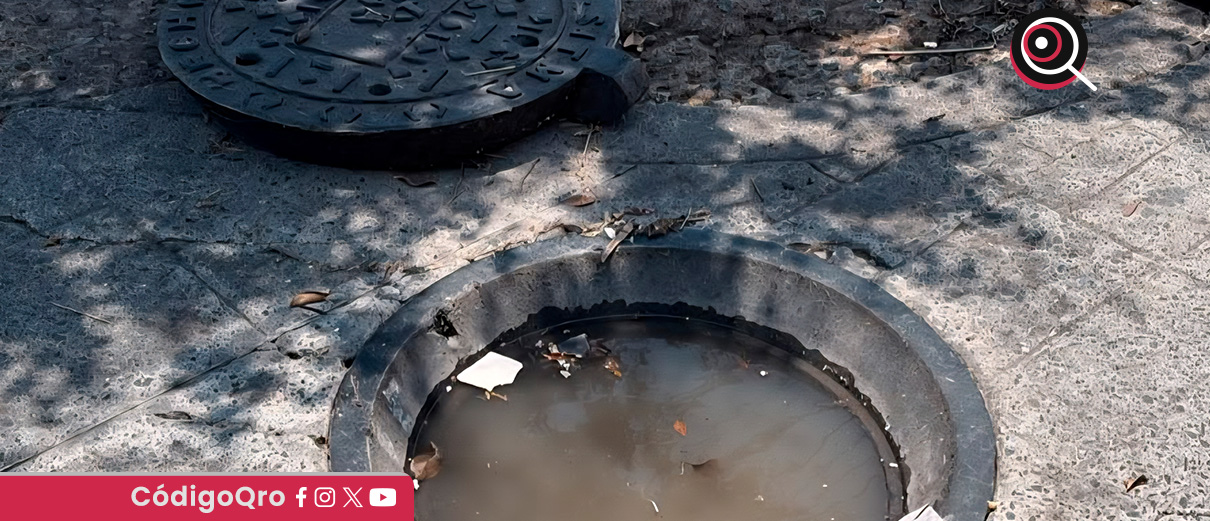 La lluvia del sábado por la noche dejó las calles llenas de basura