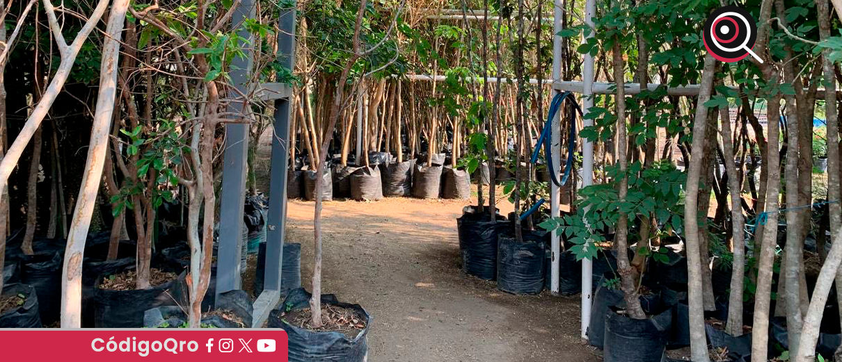  tren México-Querétaro