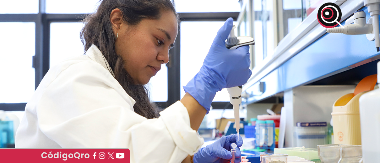 estudiante, UAQ, garambullo, prevención, cáncer de colón,