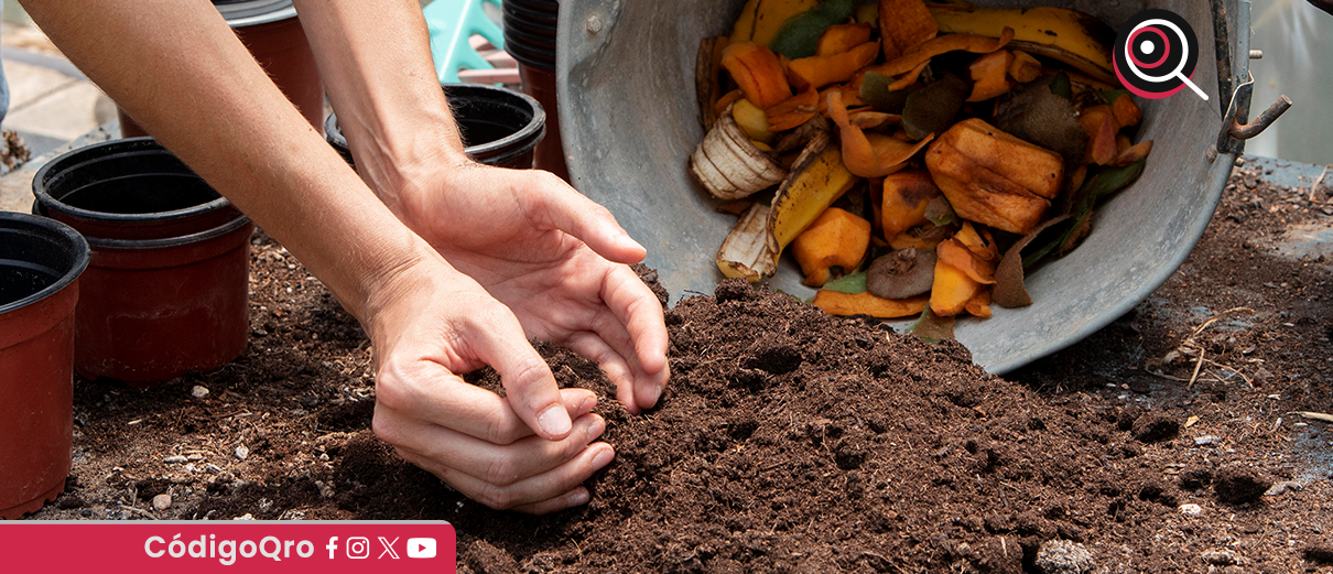 Los tropiezos más comunes al intentar ser ecoamigable