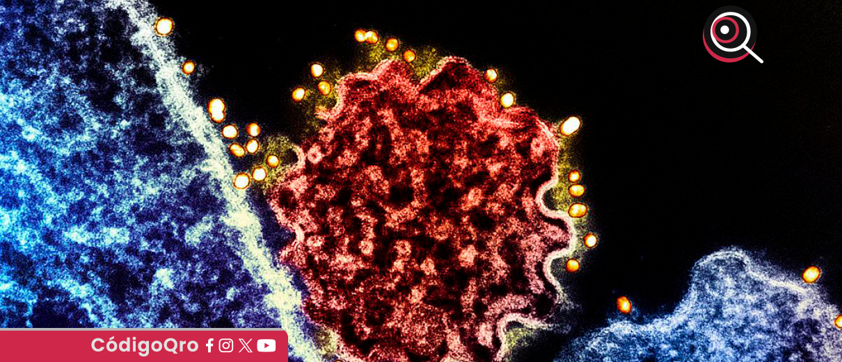 controles aéreos, virus Nipah,