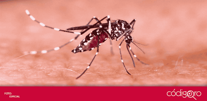En lo que va de este 2020 se han registrado 2 mil 183 casos positivos de dengue.
