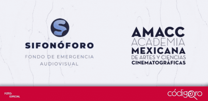 La Academia Mexicana de Artes y Ciencias Cinematográficas AMACC, dio a conocer el Sifonóforo, un Fondo de Emergencia Audiovisual