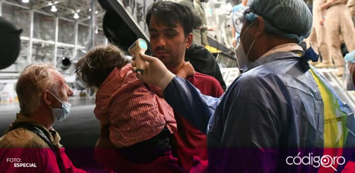México recibió a 124 refugiados (periodistas y sus familiares) que huyeron de Afganistán. Foto: Especial