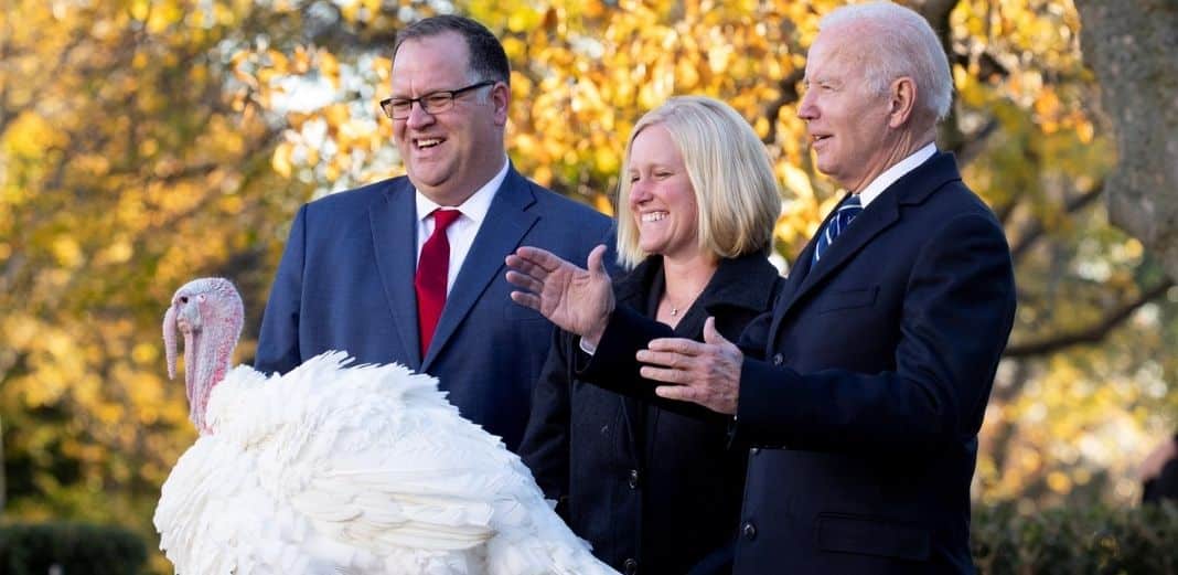 Es tradicional que el presidente de Estados Unidos indulte a un pavo en la semana previa al Día de Acción de Gracias. Foto: Agencia EFE