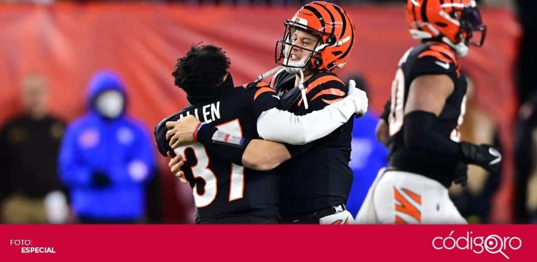 Después de 31 años, los Bengals ganan un juego de postemporada - CódigoQro