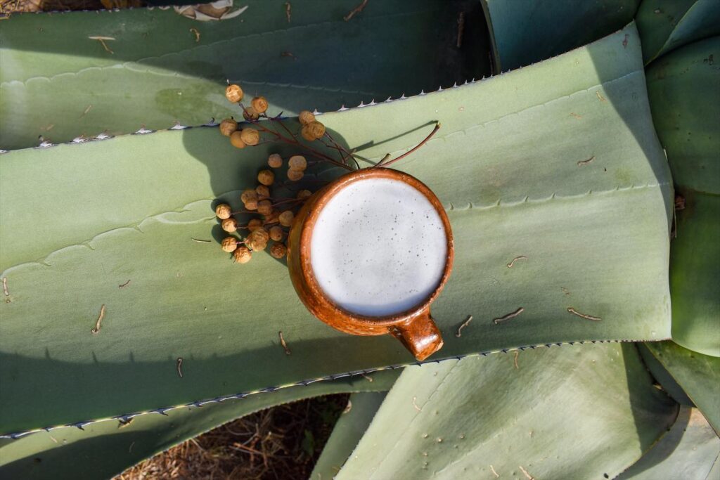 pulque