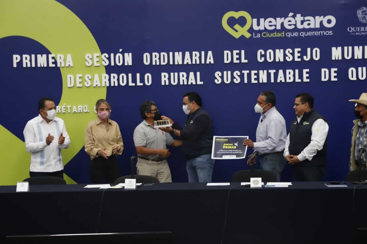 En el evento entregaron 260 abejas reinas a apicultores en el marco del Programa Poliniza Querétaro