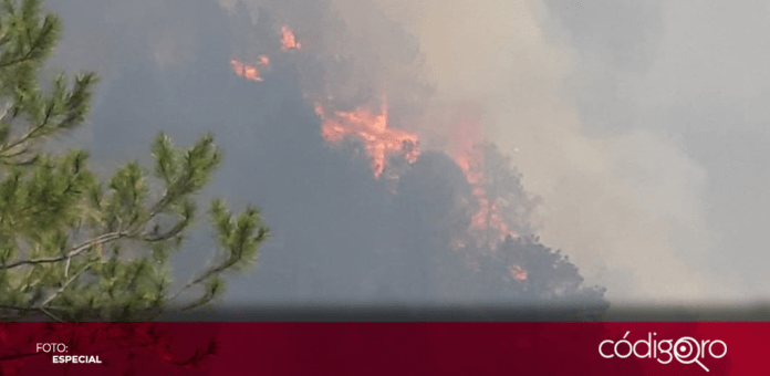 Un incendio forestal afecta a la comunidad de San José Tepozán, municipio de Cadereyta de Montes. Foto: Especial