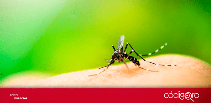 La SESA informó que del 18 al 22 de marzo se llevará a cabo con la finalidad de realizar promoción, prevención y control del dengue