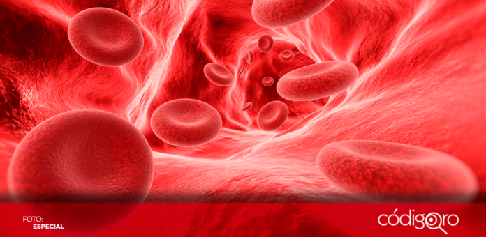 El 17 de abril de cada año, se conmemora el Día Mundial de la Hemofilia. Foto: Especial