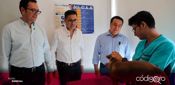 La Campaña de Vacunación Antirrábica Canina y Felina 2024 continúa en las 7 delegaciones de Querétaro, así como en las 3 Unidades de la Dirección de Protección, Cuidado y Control Animal