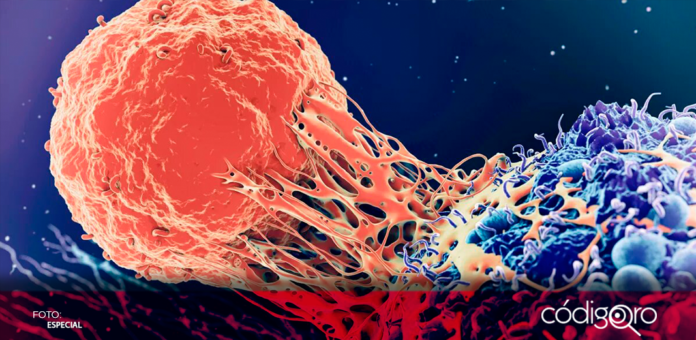 Investigadores de la Universidad Estatal de Virginia crean un nuevo tipo de inmunoterapia contra el cáncer