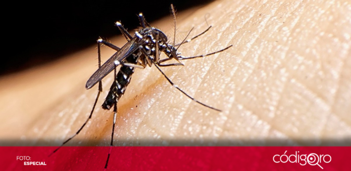Los 10 casos positivos de dengue se concentran en el municipio de Arroyo Seco. Foto: Especial