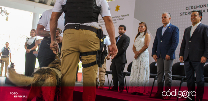 El presidente municipal de Querétaro asistió a la Ceremonia de Jubilación de ocho elementos caninos pertenecientes al Grupo Táctico K-9