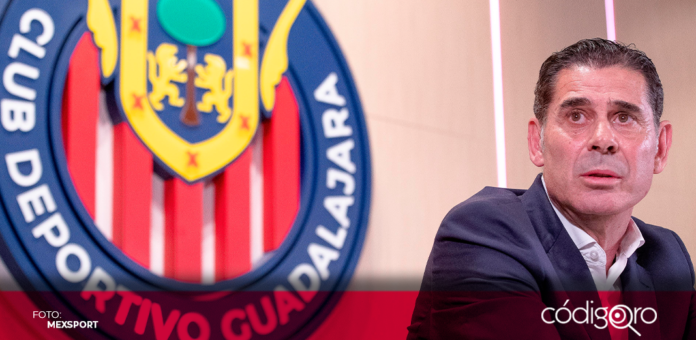 Fernando Hierro dejará su cargo como director deportivo de las Chivas, luego de tres torneos y un subcampeonato