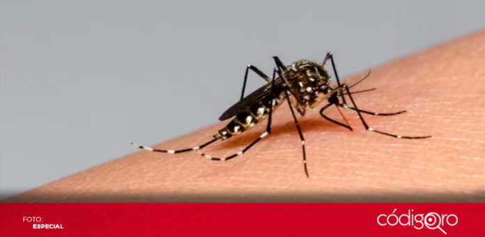 Los casos de dengue han subido 385% en lo que va del año en México, es decir, 17 mil 016 casos; mientras que la situación crece ante el comienzo del verano y la temporada de huracanes