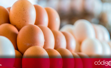 Entre enero y abril, creció 3.3% la producción de huevo en Querétaro, lo que equivale a casi 7 mil toneladas; además, la producción pecuaria fue uno de los segmentos que mayor crecimiento ha tenido en el último año, informó el SIAP