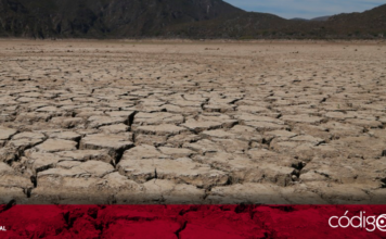 Querétaro es la única entidad en el país en donde el 100% de sus municipios reportaron el mayor grado de sequía, de acuerdo con los registros de Conagua