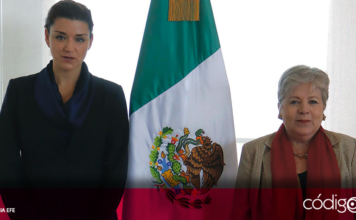 El Gobierno de México anunció que Elisa de Anda Madrazo asumirá a partir del lunes la presidencia del Grupo de Acción Financiera Internacional, organismo dedicado a combatir el lavado de dinero, así como a la vigilancia y seguridad financiera