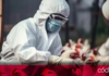 Ante la preocupación por un brote del virus H5N1 en las vacas lecheras e infecciones en 3 trabajadores del sector lácteo, el gobierno de EUA concedió 176 mdd a Moderna para el desarrollo de una vacuna contra la gripe aviar, informó la compañía