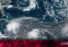La coordinadora nacional de Protección Civil informó que el huracán Beryl ingresará a territorio nacional la noche del jueves 4 de julio