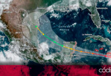 Suspenden operaciones el Tren Maya y aerolínea ante la llegada de Beryl, que impactará entre la noche de este jueves y la madrugada del viernes la península de Yucatán