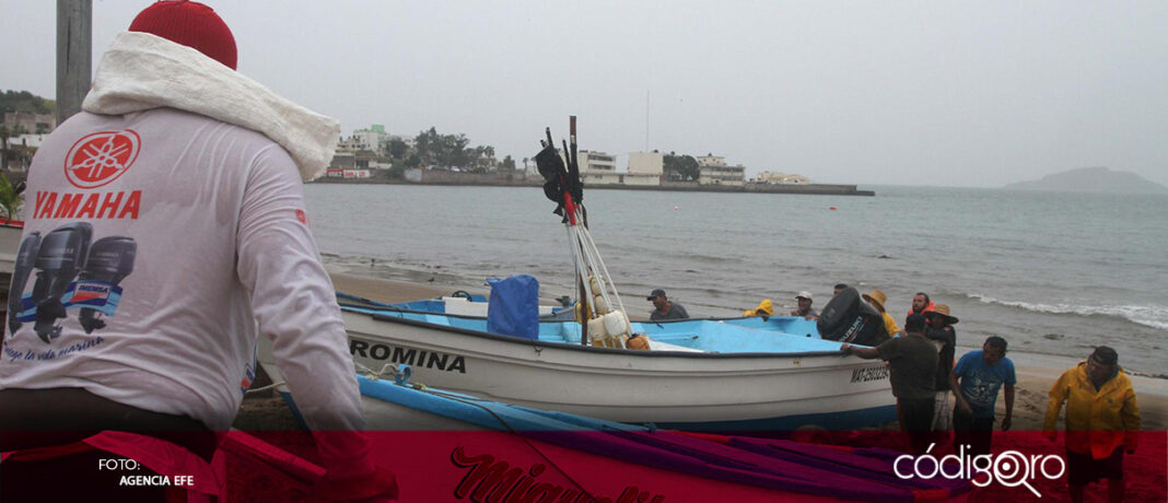 La tormenta tropical Ileana tocó tierra en Ahome, Sinaloa, informó el Servicio Meteorológico Nacional; el fenómeno registra vientos máximos sostenidos de 65 kilómetros por hora y se espera que en próximas horas se debilite