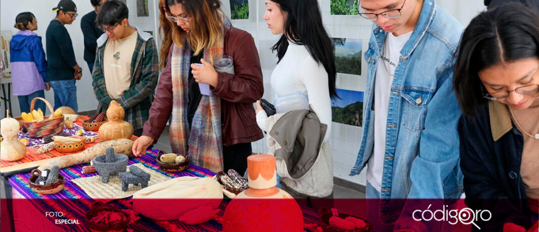 La UAQ, a través del Laboratorio de Botánica de la Facultad de Ciencias Naturales, realizó una serie de actividades para reconocer el valor histórico y cultural del maíz, el cual fue nombrado como patrimonio biocultural de México