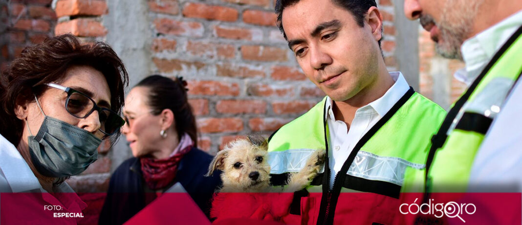 Felifer revisó el avance del Centro Integral de Bienestar Animal. Foto: Especial