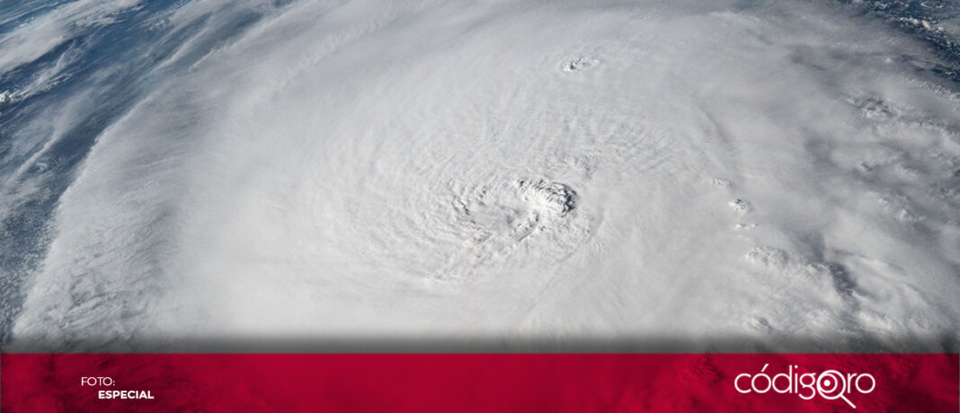 El huracán Milton comenzó a azotar al estado de Florida. Foto: Especial