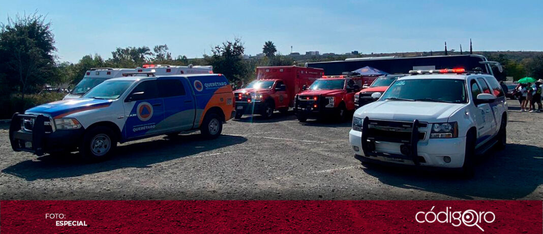 Un ataque de abejas ocurrió en las canchas del Parque Bicentenario. Foto: Especial