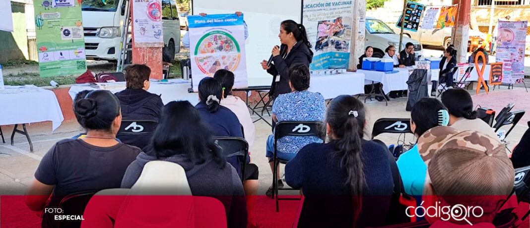 La Secretaría de Salud realizó una jornada de atención en el municipio de Landa de Matamoros. Foto: Especial