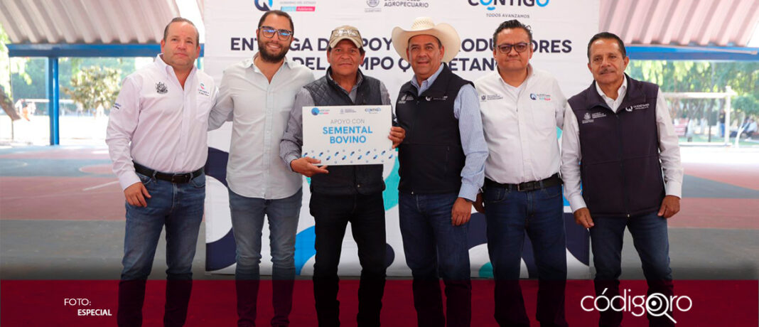 En beneficio de 171 productores de Corregidora y Huimilpan, se entregaron apoyos del programa Dinamismo en el sector agroalimentario; hasta el momento, el proyecto registra un avance del 75% en la entidad