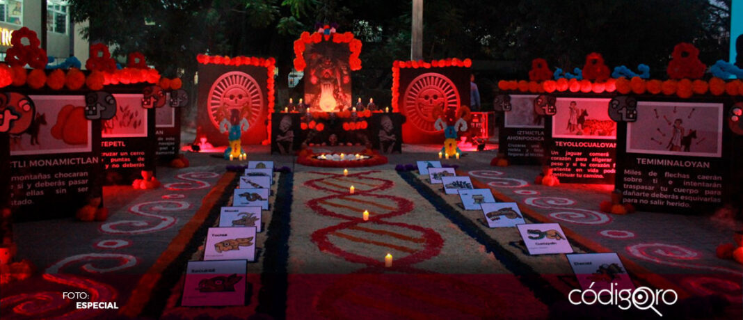 El IMSS en Querétaro inauguró el altar de Día de Muertos “Una celebración a la memoria y un ritual que privilegia el recuerdo sobre el olvido”