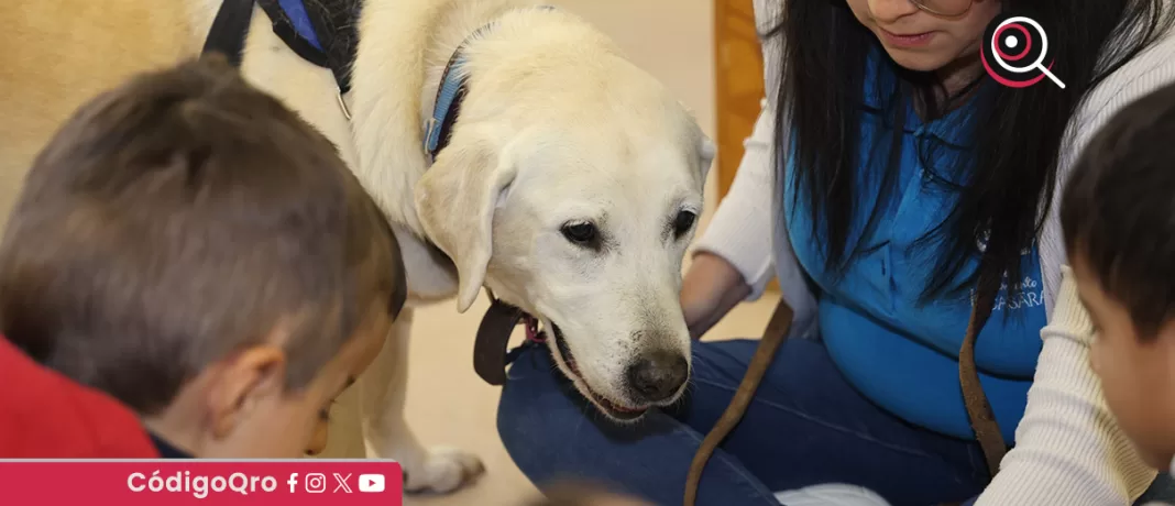 El DIF Estatal Querétaro comenzó con los servicios de caninoterapia. Foto: Especial